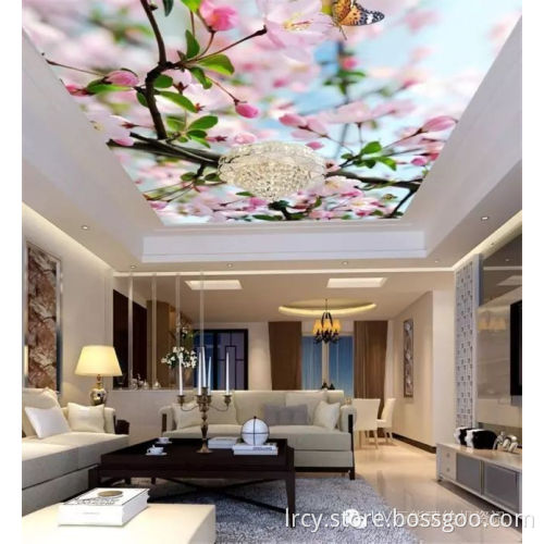 Digital Direct to Wall Inkjet Printer